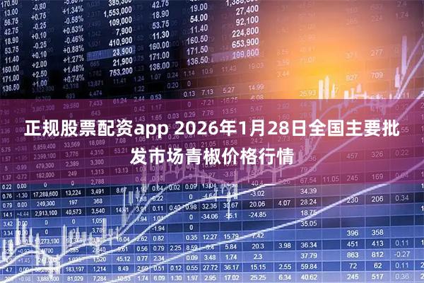 正规股票配资app 2026年1月28日全国主要批发市场青椒价格行情