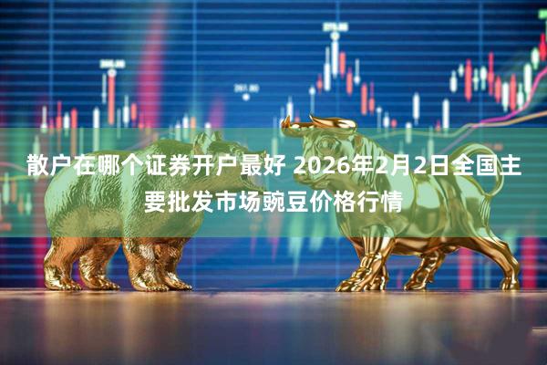 散户在哪个证券开户最好 2026年2月2日全国主要批发市场豌豆价格行情
