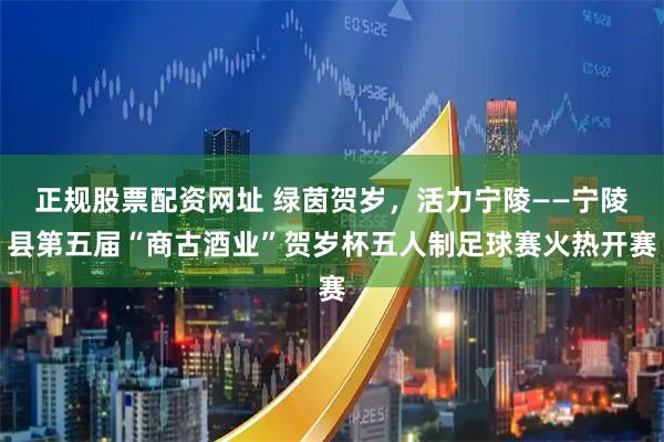 正规股票配资网址 绿茵贺岁，活力宁陵——宁陵县第五届“商古酒业”贺岁杯五人制足球赛火热开赛