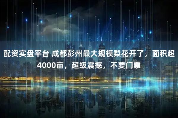 配资实盘平台 成都彭州最大规模梨花开了，面积超4000亩，超级震撼，不要门票